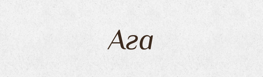 Ага — Російсько-український академічний словник (А–П)