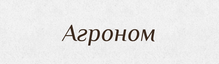 Агроном — Російсько-український академічний словник (А–П)