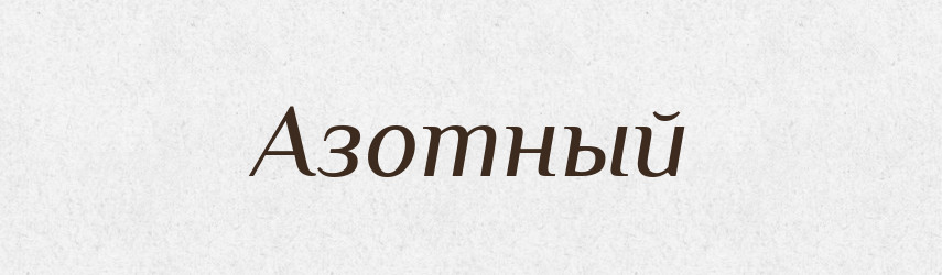 Азотный — Російсько-український академічний словник (А–П)