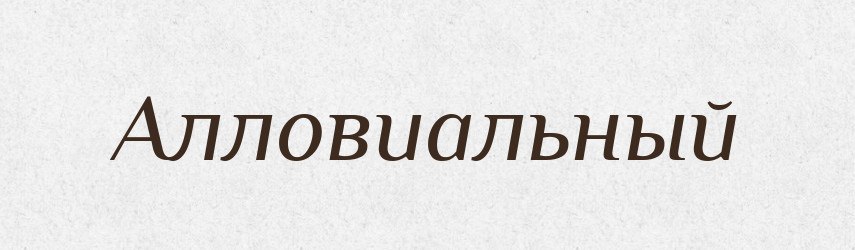 Алловиальный — Російсько-український академічний словник (А–П)