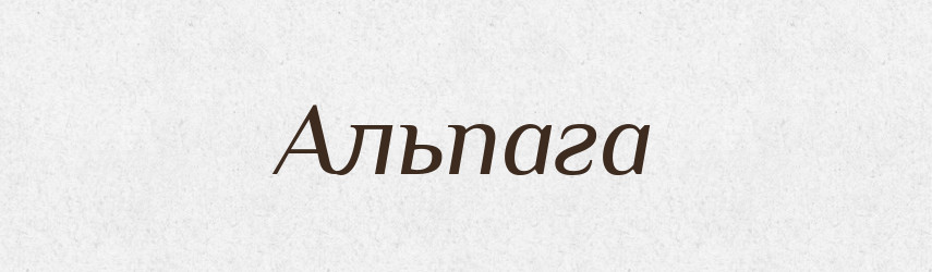 Альпага — Російсько-український академічний словник (А–П)