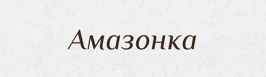 Амазонка — Російсько-український академічний словник (А–П)