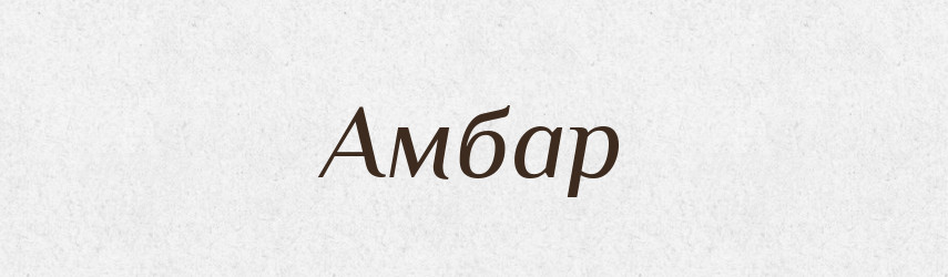 Амбар — Російсько-український академічний словник (А–П)