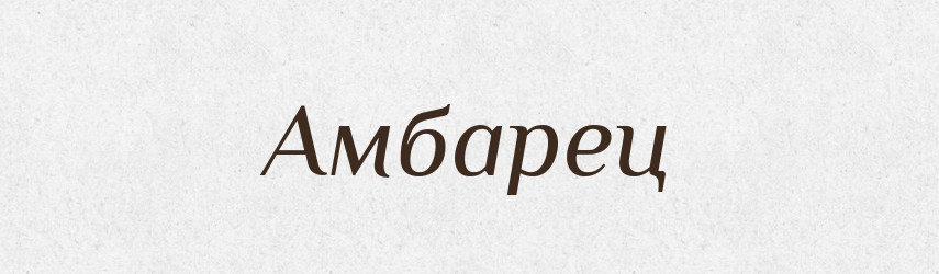 Амбарец — Російсько-український академічний словник (А–П)