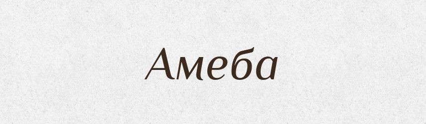 Амеба — Російсько-український академічний словник (А–П)