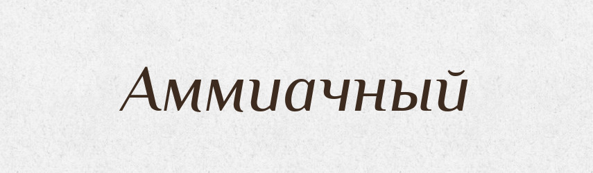 Аммиачный — Російсько-український академічний словник (А–П)