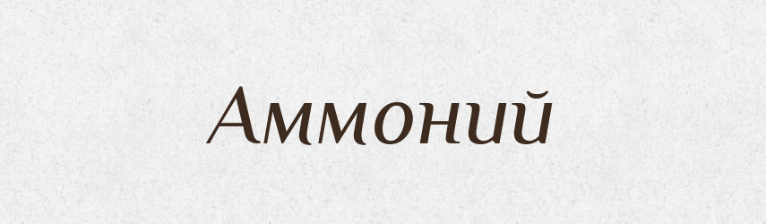 Аммоний — Російсько-український академічний словник (А–П)