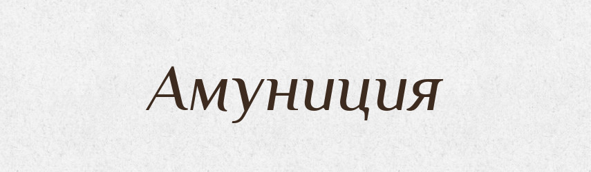 Амуниция — Російсько-український академічний словник (А–П)