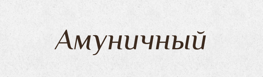 Амуничный — Російсько-український академічний словник (А–П)
