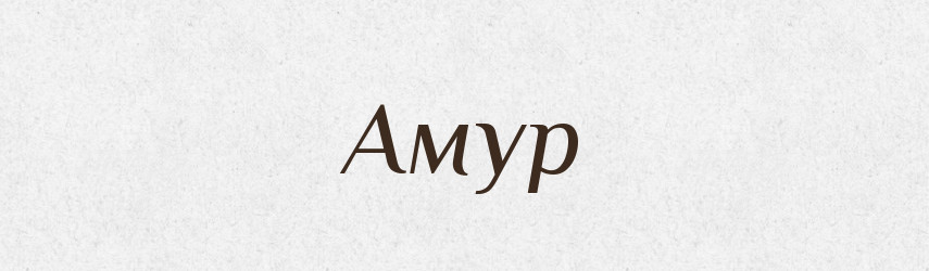 Амур — Російсько-український академічний словник (А–П)
