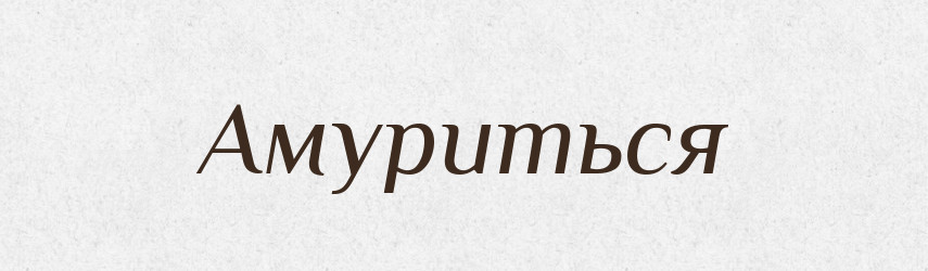 Амуриться — Російсько-український академічний словник (А–П)
