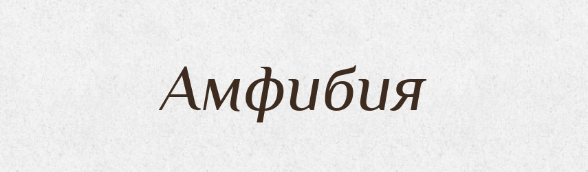 Амфибия — Російсько-український академічний словник (А–П)
