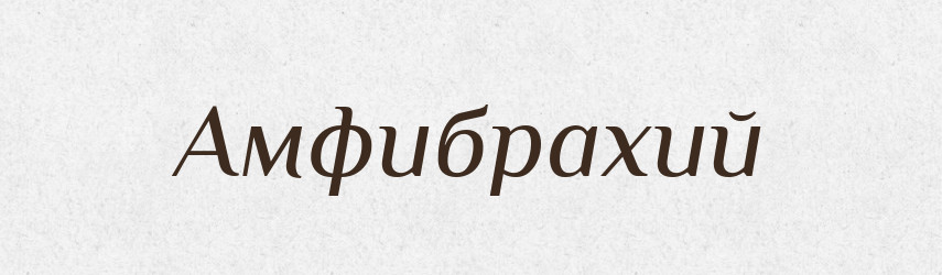 Амфибрахий — Російсько-український академічний словник (А–П)