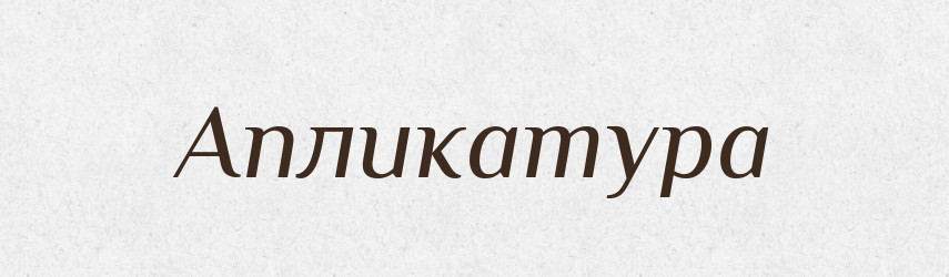 Апликатура — Російсько-український академічний словник (А–П)