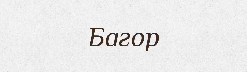 Багор — Російсько-український академічний словник (А–П)