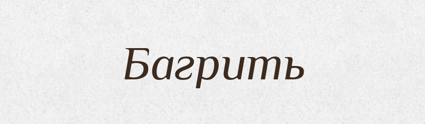 Багрить — Російсько-український академічний словник (А–П)