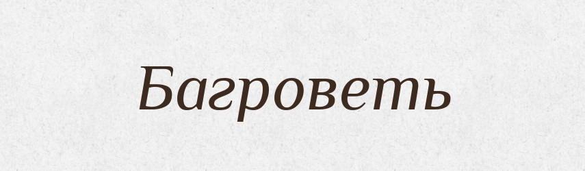 Багроветь — Російсько-український академічний словник (А–П)