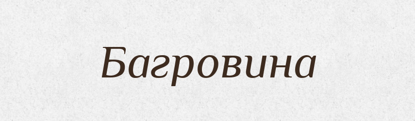 Багровина — Російсько-український академічний словник (А–П)
