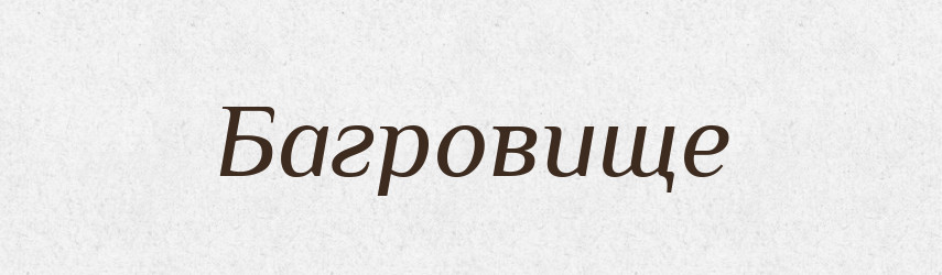 Багровище — Російсько-український академічний словник (А–П)