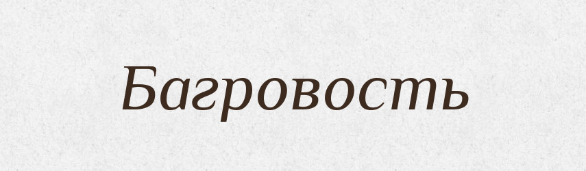 Багровость — Російсько-український академічний словник (А–П)