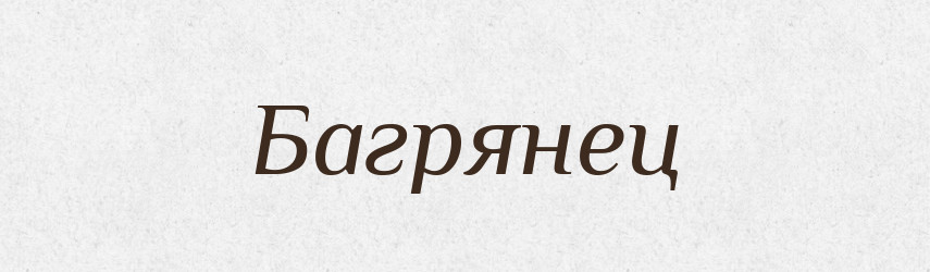 Багрянец — Російсько-український академічний словник (А–П)