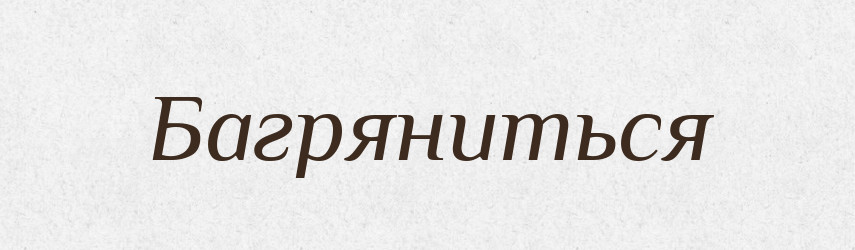 Багряниться — Російсько-український академічний словник (А–П)