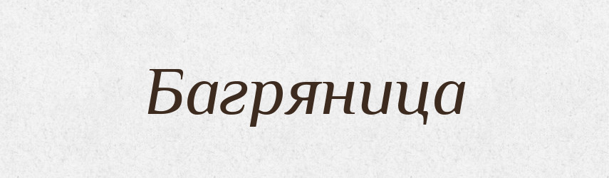 Багряница — Російсько-український академічний словник (А–П)