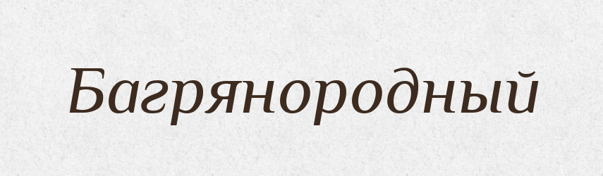 Багрянородный — Російсько-український академічний словник (А–П)