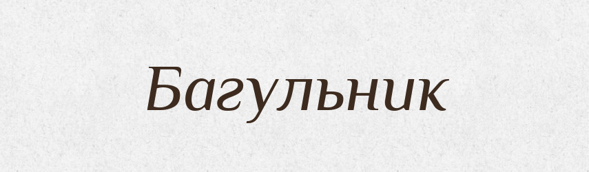 Багульник — Російсько-український академічний словник (А–П)