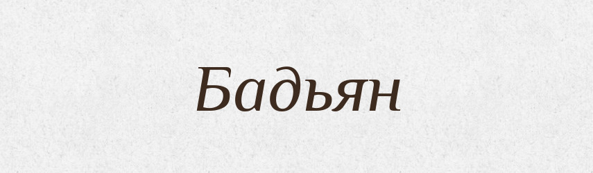 Бадьян — Російсько-український академічний словник (А–П)