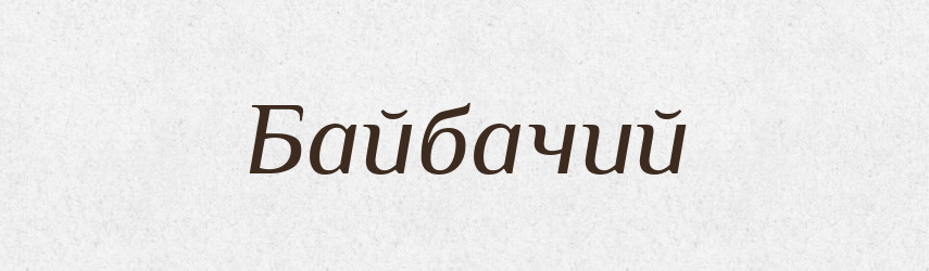 Байбачий — Російсько-український академічний словник (А–П)