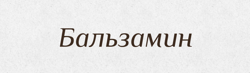 Бальзамин — Російсько-український академічний словник (А–П)