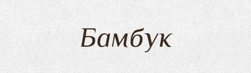 Бамбук — Російсько-український академічний словник (А–П)