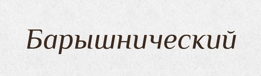 Барышнический — Російсько-український академічний словник (А–П)