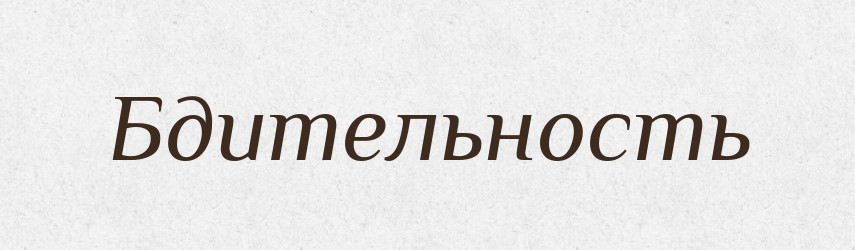 Бдительность — Російсько-український академічний словник (А–П)