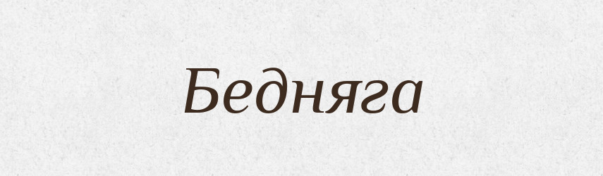 Бедняга — Російсько-український академічний словник (А–П)