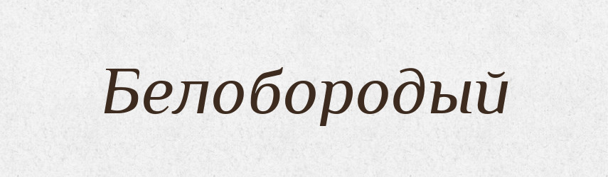 Белобородый — Російсько-український академічний словник (А–П)