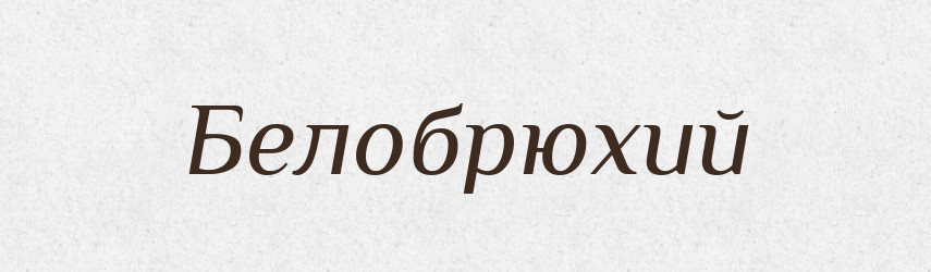 Белобрюхий — Російсько-український академічний словник (А–П)