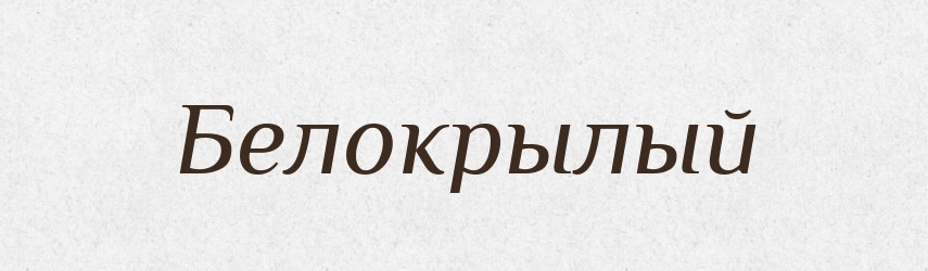 Белокрылый — Російсько-український академічний словник (А–П)