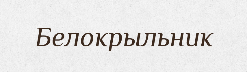 Белокрыльник — Російсько-український академічний словник (А–П)