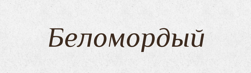 Беломордый — Російсько-український академічний словник (А–П)