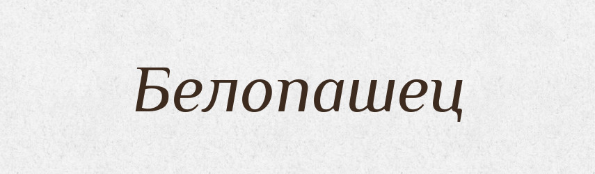 Белопашец — Російсько-український академічний словник (А–П)