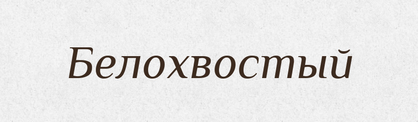 Белохвостый — Російсько-український академічний словник (А–П)