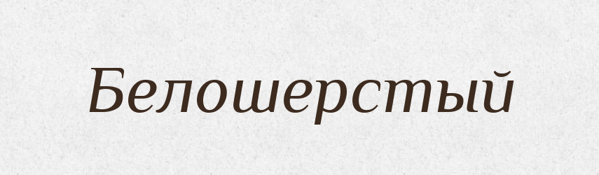 Белошерстый — Російсько-український академічний словник (А–П)