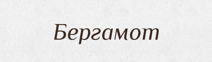 Бергамот — Російсько-український академічний словник (А–П)