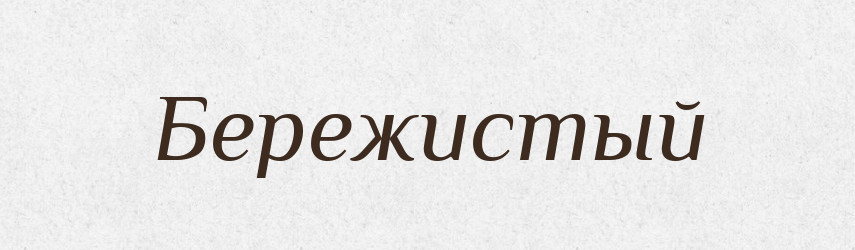 Бережистый — Російсько-український академічний словник (А–П)