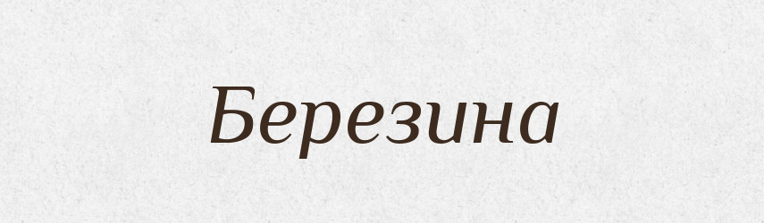 Березина — Російсько-український академічний словник (А–П)