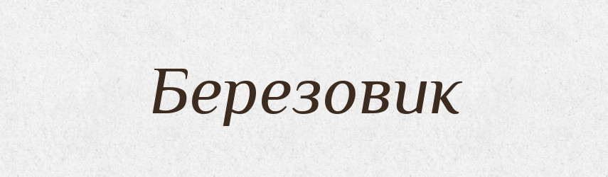 Березовик — Російсько-український академічний словник (А–П)
