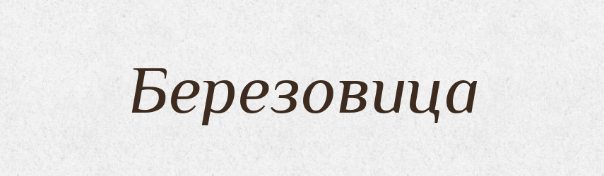 Березовица — Російсько-український академічний словник (А–П)