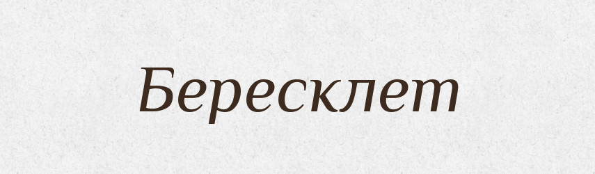 Бересклет — Російсько-український академічний словник (А–П)
